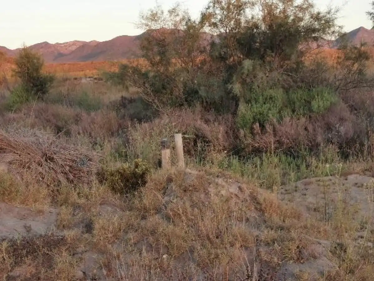 Terreno rustico in vendita a Camino LOS HUERTOS, imagen 60