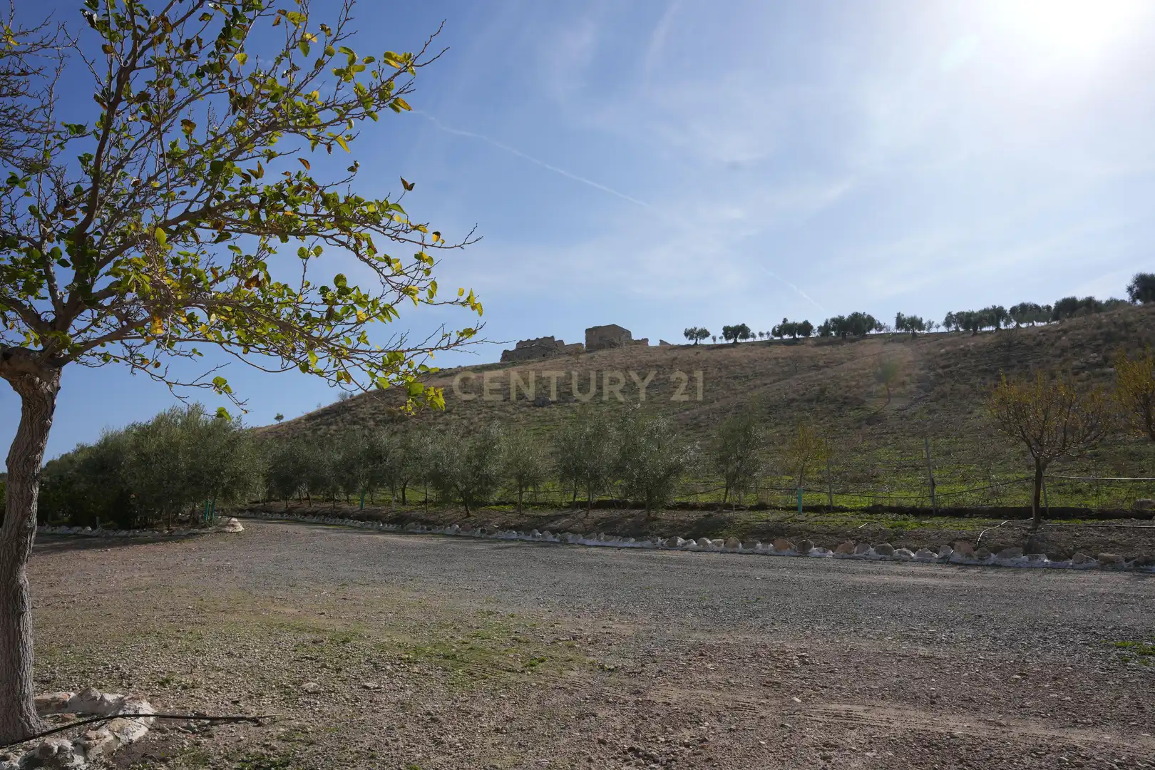 Casa o chalet en venta en Osuna con Jardín privado, Amueblado y Balcón