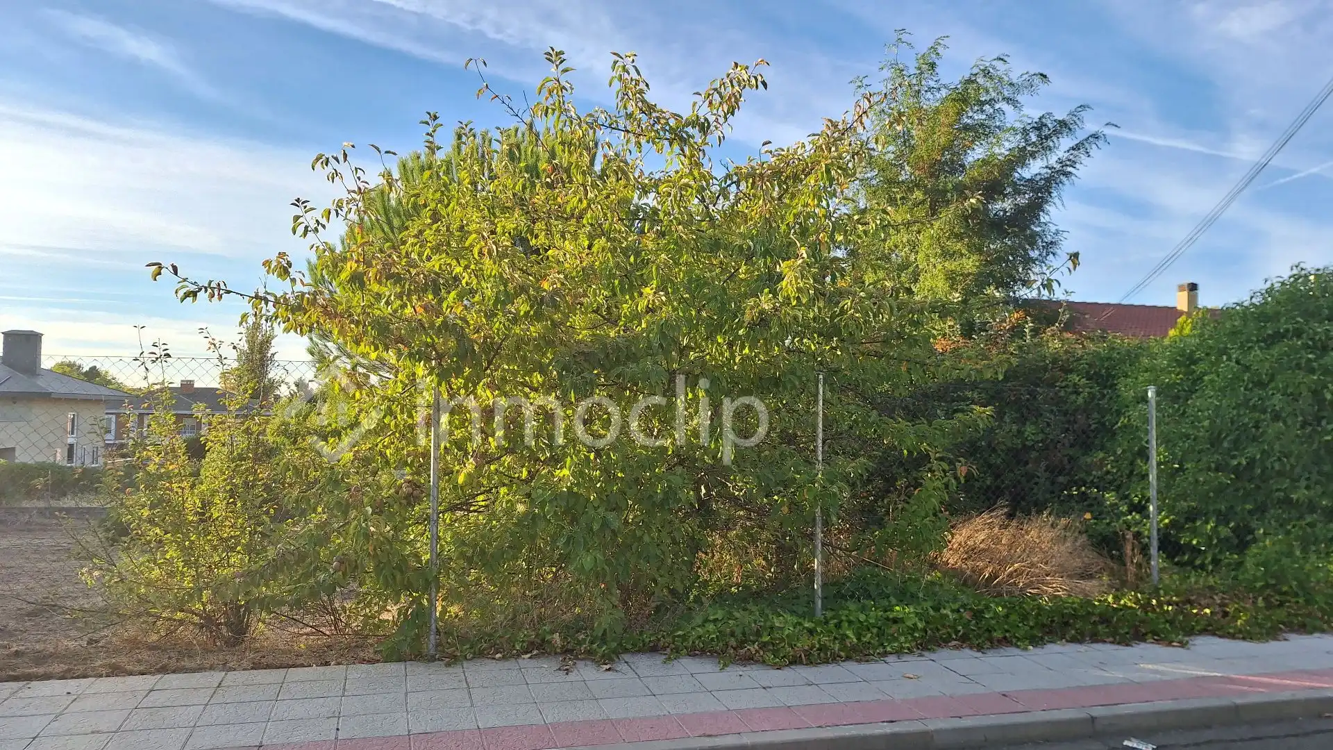 Terrenos y solares en venta en CALLE MIRLO, imagen 10