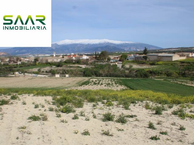 Terreno en Venta en Ventas de Huelma