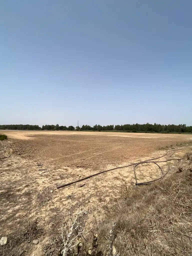 Terrenys i solars en venda a Carretera Cortes 4, imagen 3