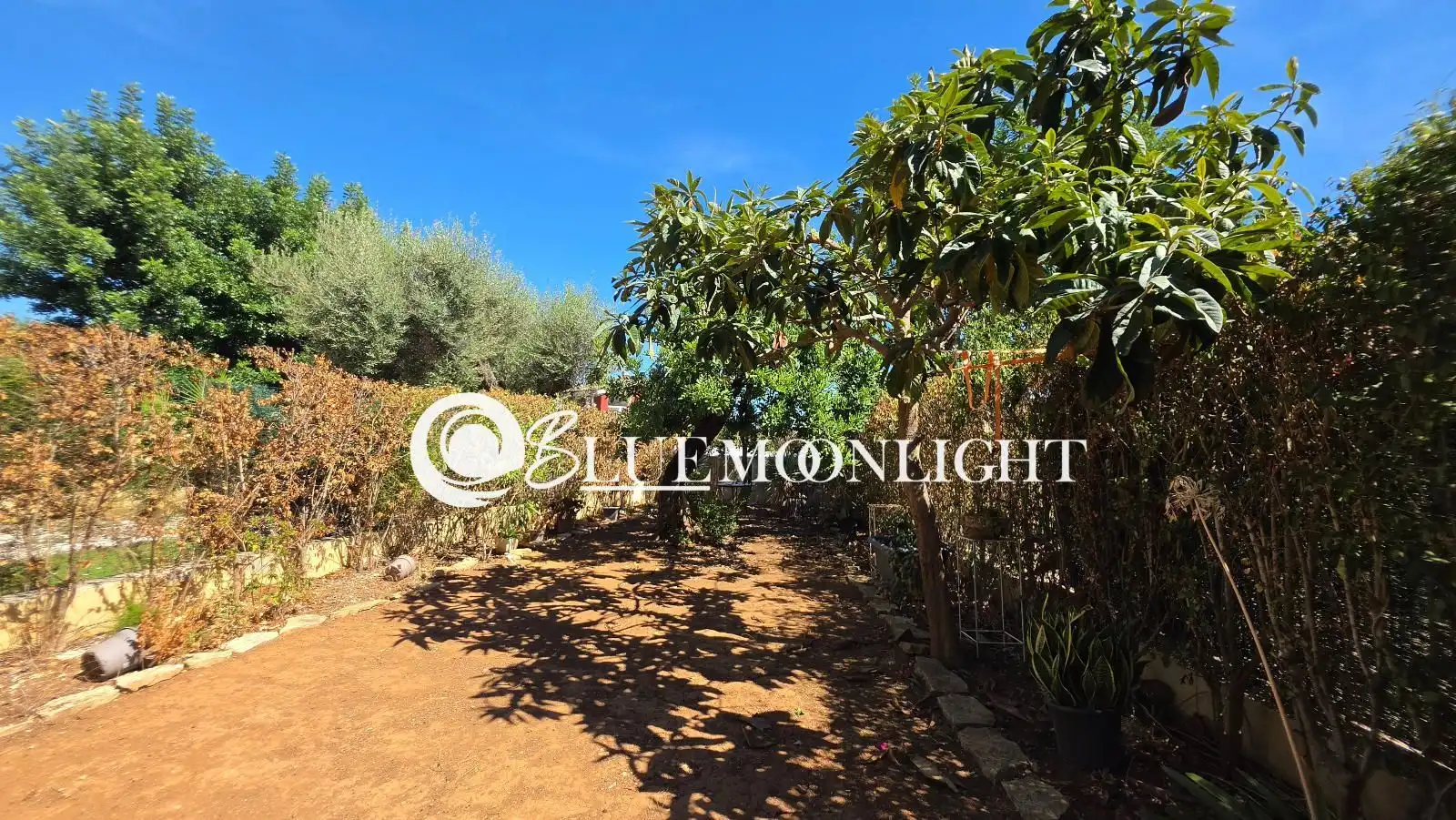 Terraced house with pool for sale in barranc de moles, imagen 2