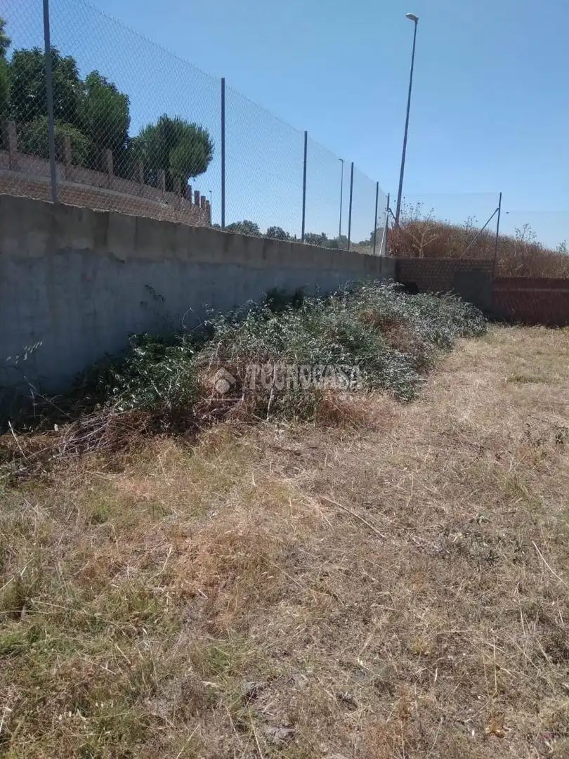 Terreny residencial en venda a Sanlúcar la Mayor, imagen 16