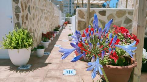 Foto 3 de Edifici en venda a Gargasindi - Garduix - Colina del Sol, Alicante