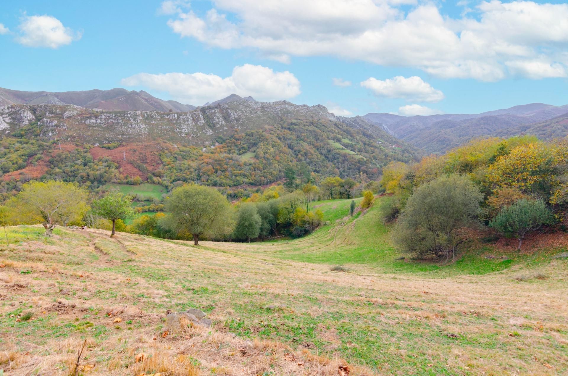 House or chalet for sale in Piloña  with Private garden