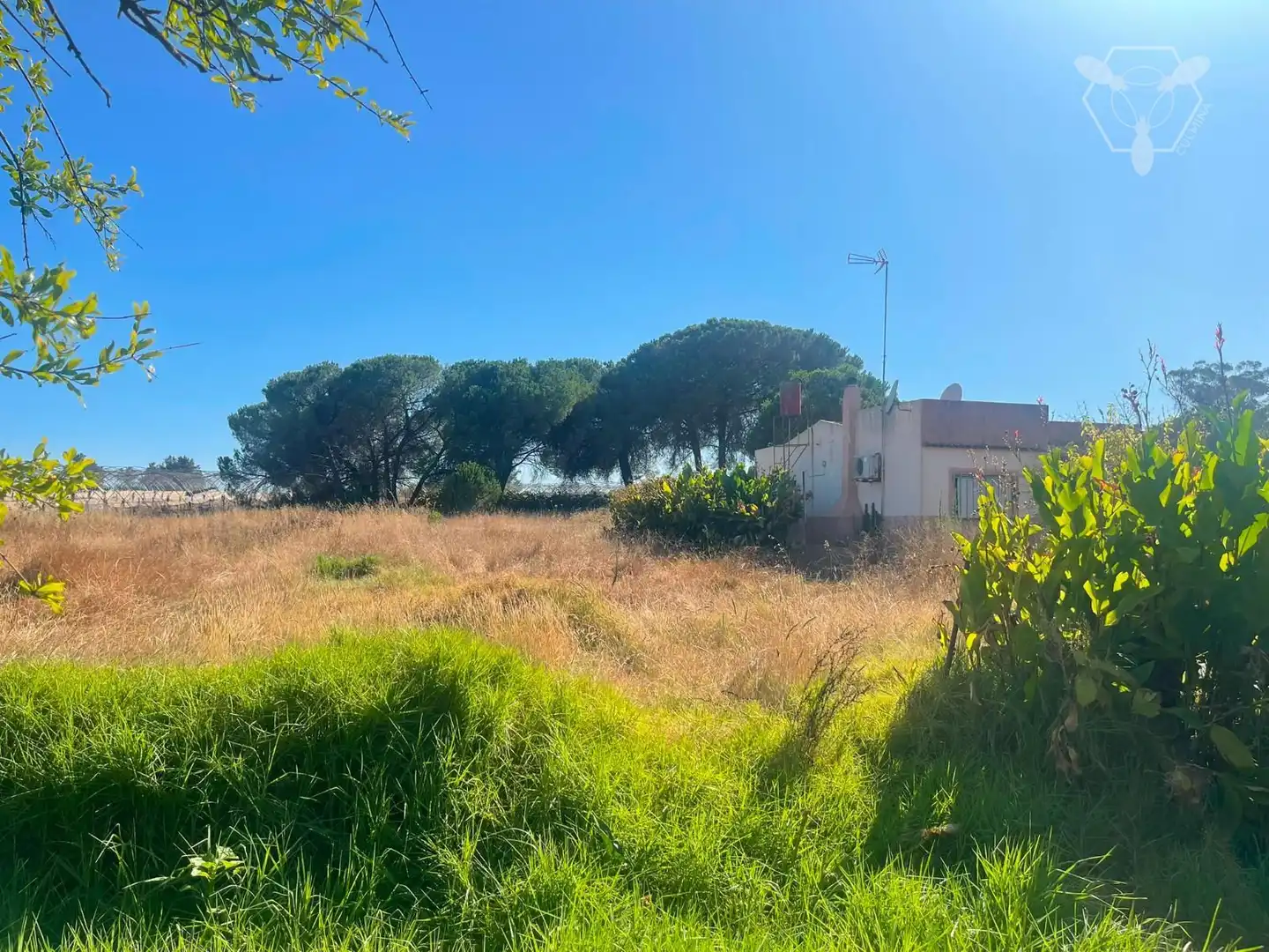 Chalet en venta en Bonares, imagen 14