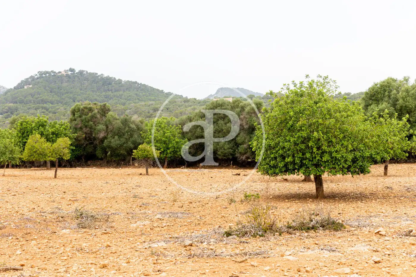 Residencial en venta en Manacor