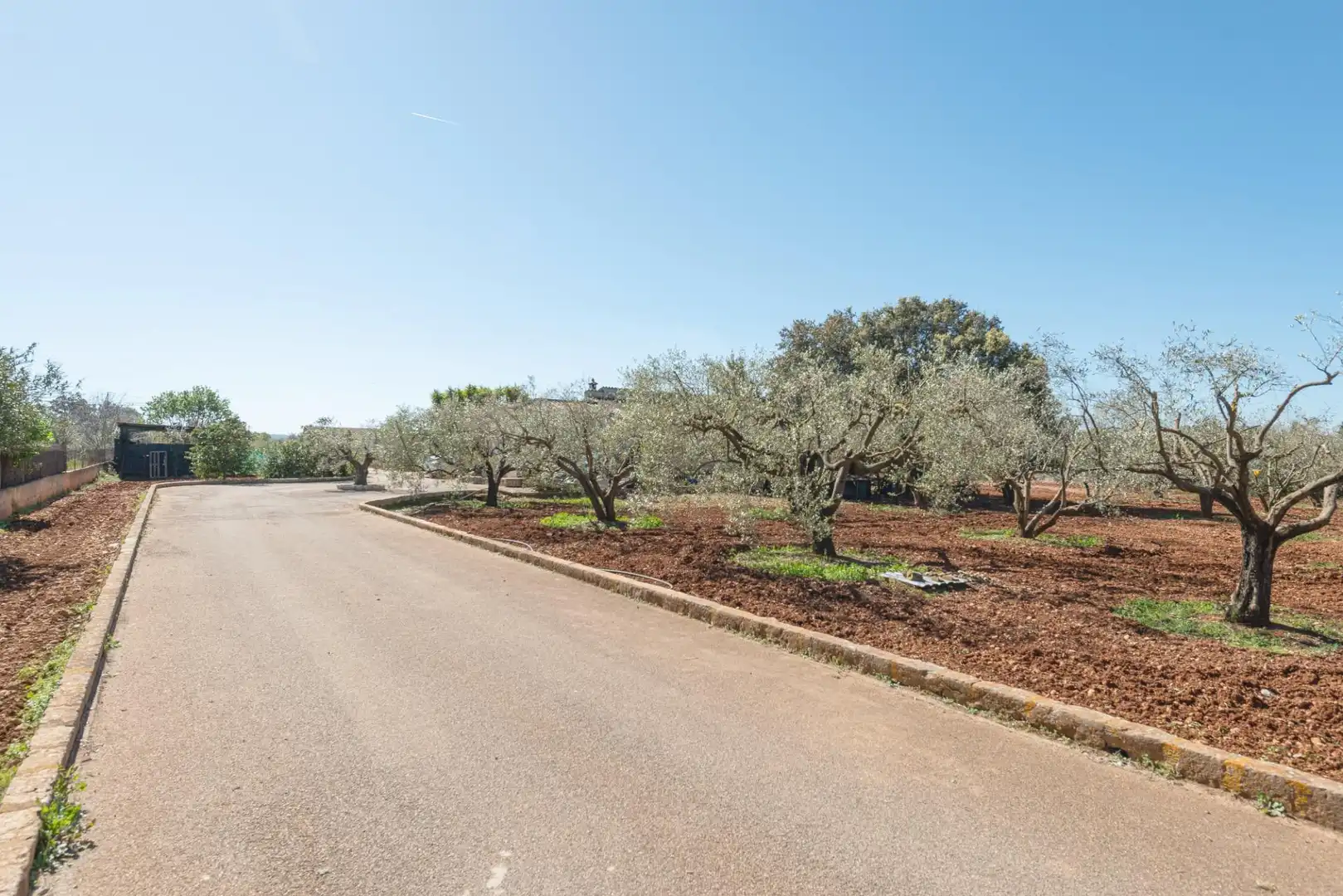 Casa rústica en venta en Centro, imagen 32