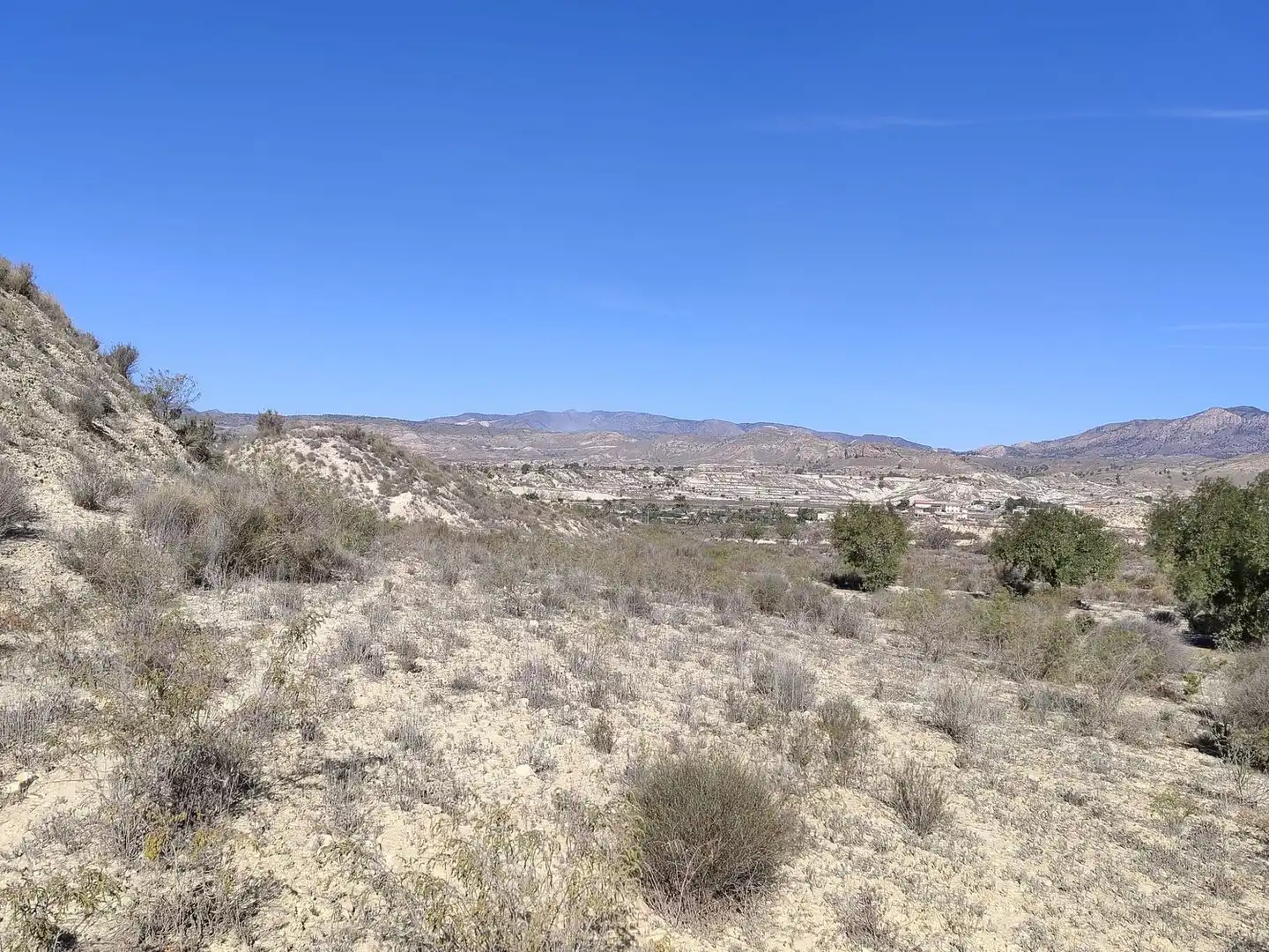 Lands and plots for sale in Abanilla, imagen 8