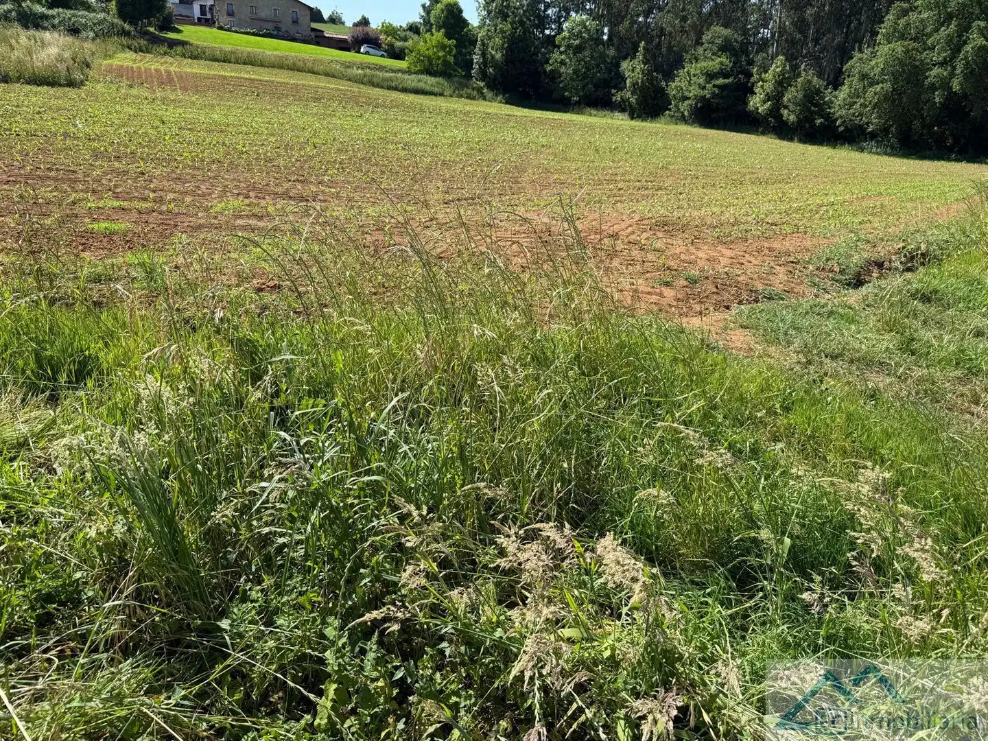 Lands and plots for sale in La Llastra, imagen 4