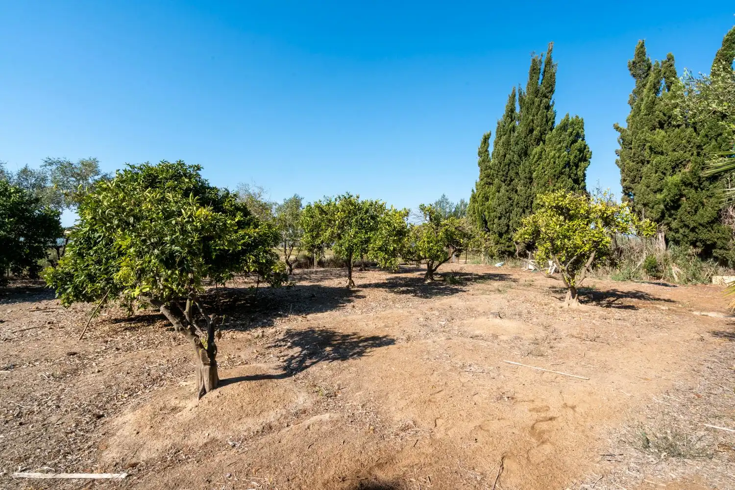 Rural land for sale in Deltebre