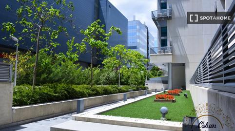 Foto 4 de Apartament per a compartir a Virgen del Cortijo - Manoteras, Madrid