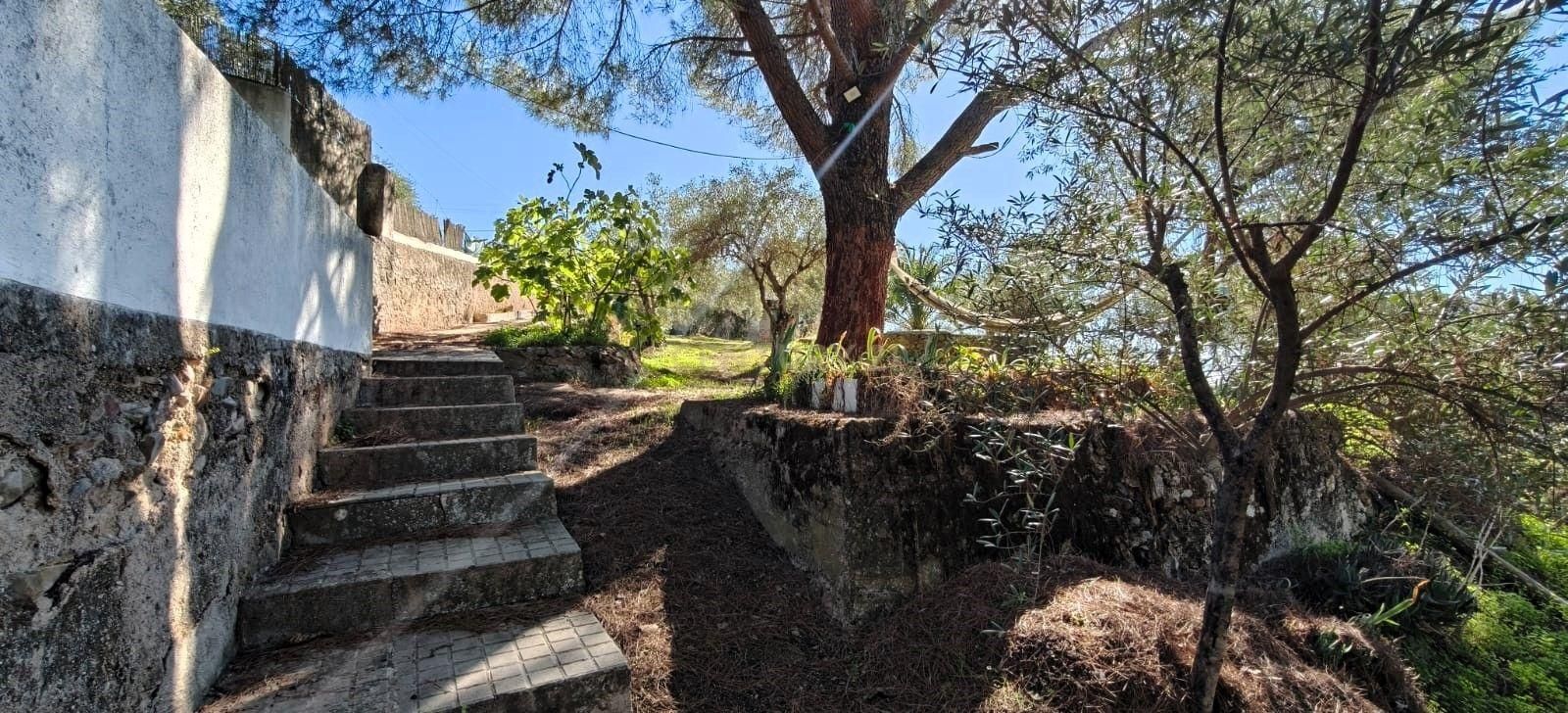 Garden of House or chalet for sale in Cáceres Capital  with Private garden and Swimming Pool