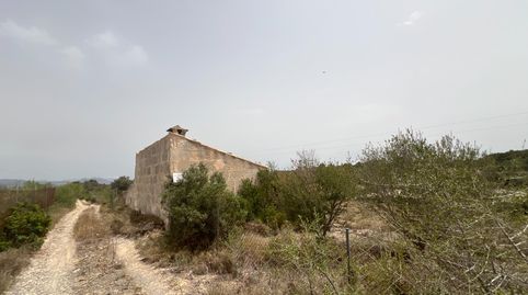TERRENO EN VENTA EN MURO, imagen 3