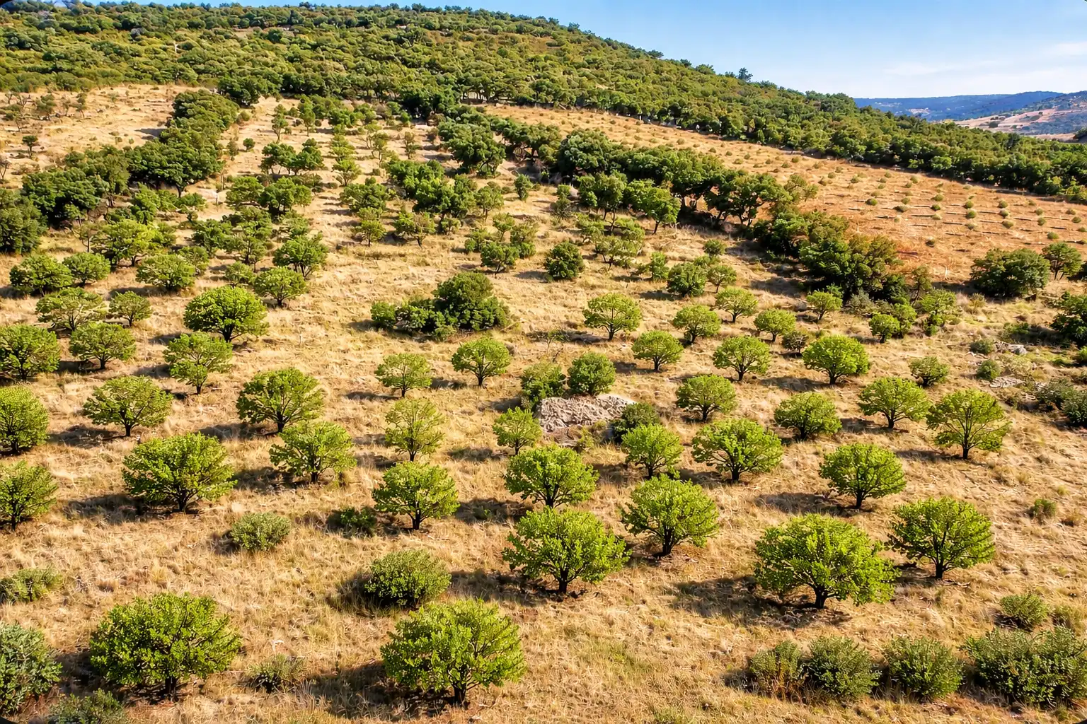 Terreno en venta en Los Navalucillos