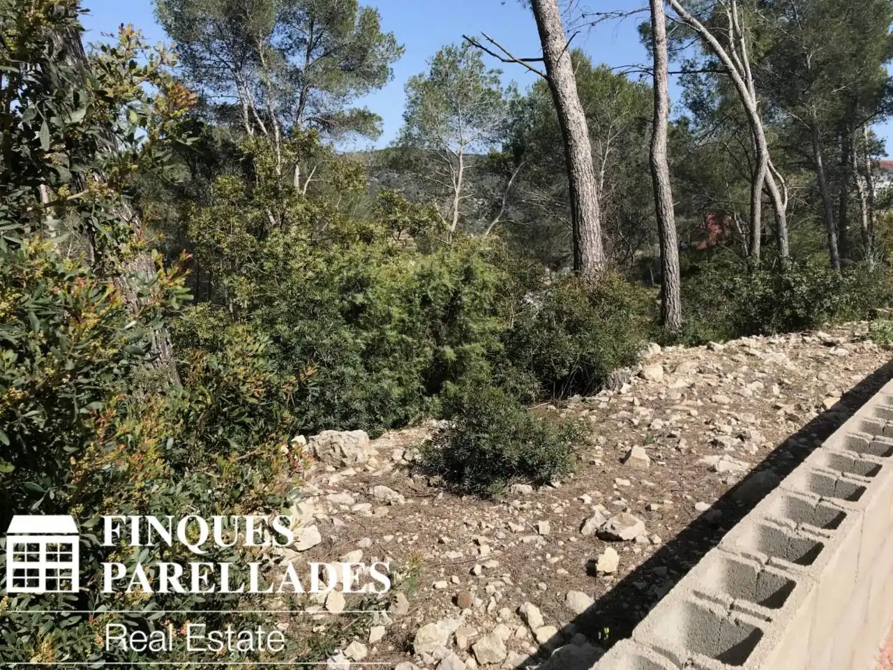 Rural land for sale in Olivella, imagen 5