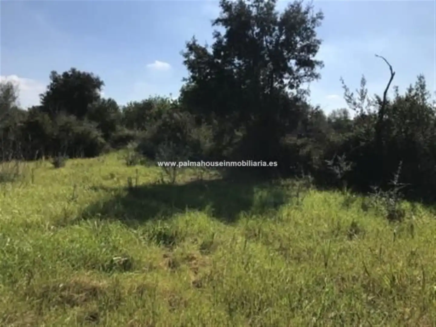 Wohnbaugrundstück zum Verkauf in Llubí, imagen 3