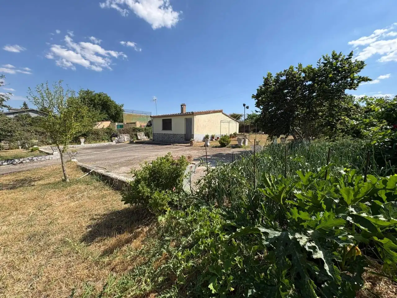 Local comercial en venda a Ciudad Rodrigo, imagen 6