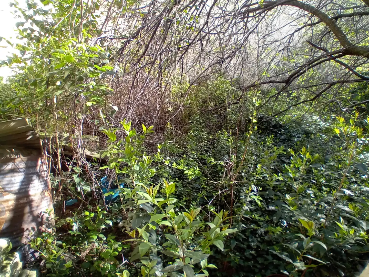 Einfamilien-Reihenhaus zum Verkauf in Calle Sabinar, 9, Ejea de los Caballeros