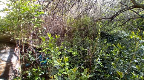 Foto 3 von Einfamilien-Reihenhaus zum Verkauf in Calle Sabinar, 9, Ejea de los Caballeros, Zaragoza