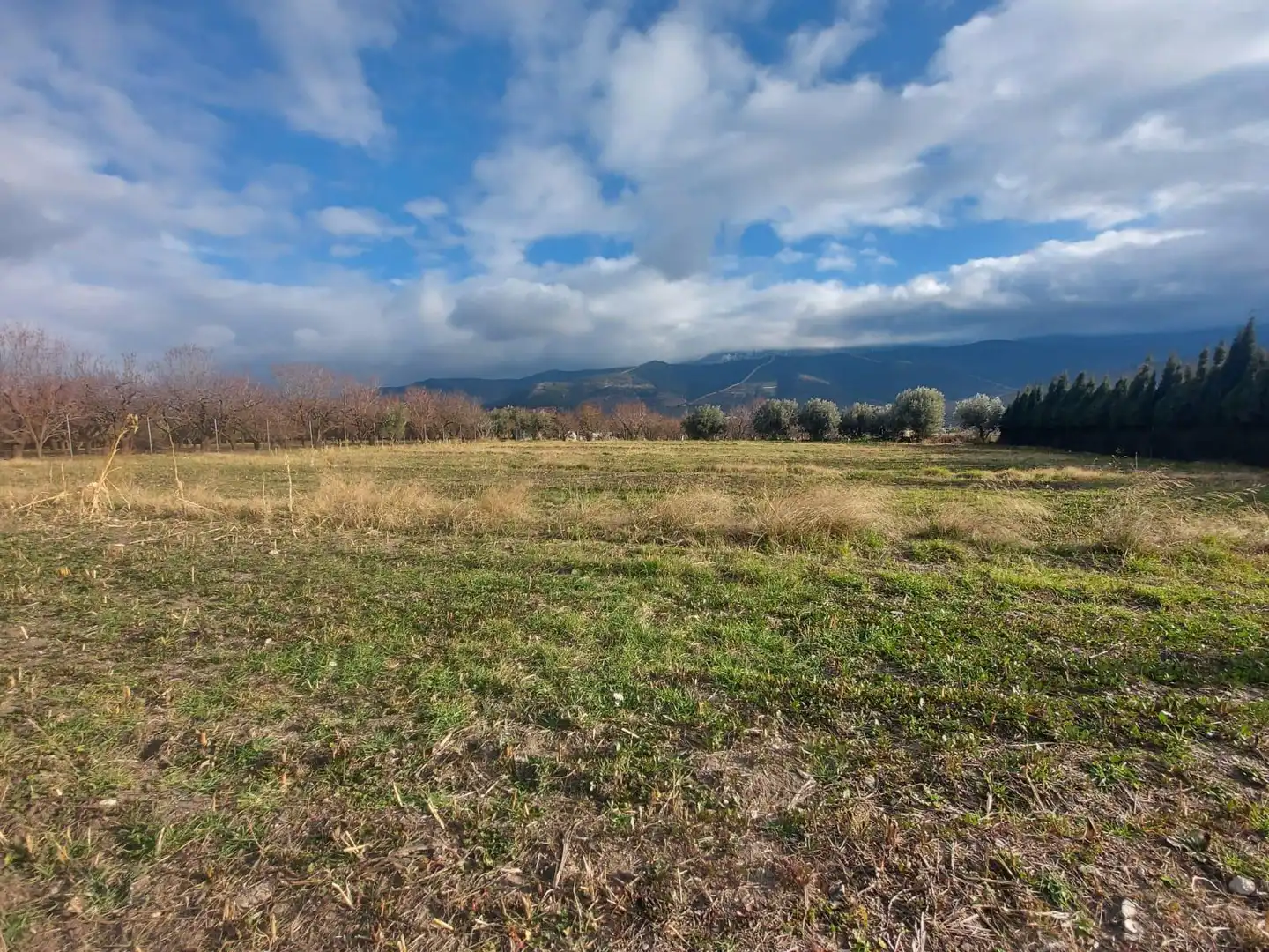 Rural land for sale in Laujar de Andarax, imagen 8