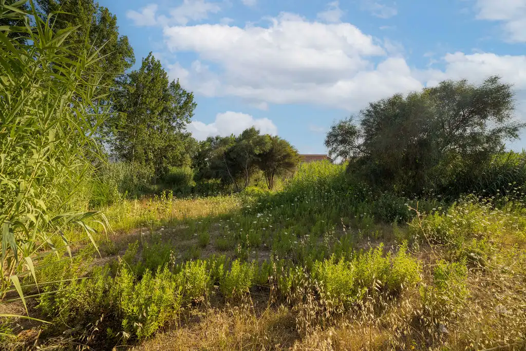 Terreno rustico in vendita a C/ Riu Senia, imagen 24