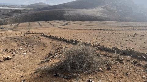 Photo 4 of Land for sale in N/a, -1, Los Quintana - Piso Firme, Las Palmas