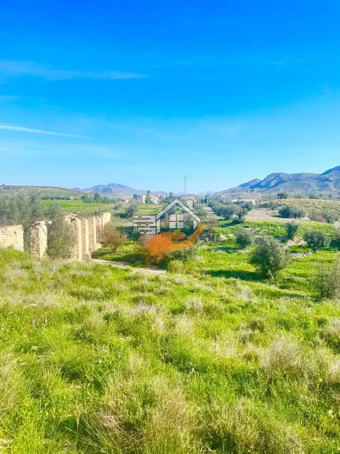 Lands and plots for sale in Pedanías Norte, imagen 40