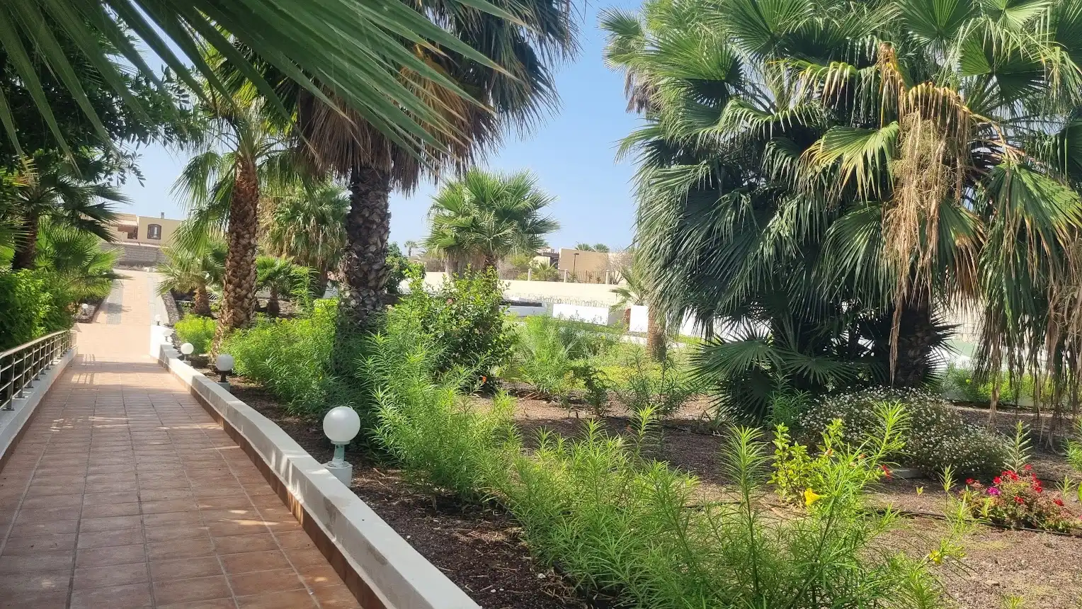 Terrassa de Estudi en venda en Arona amb Aire condicionat, Moblat i Forn