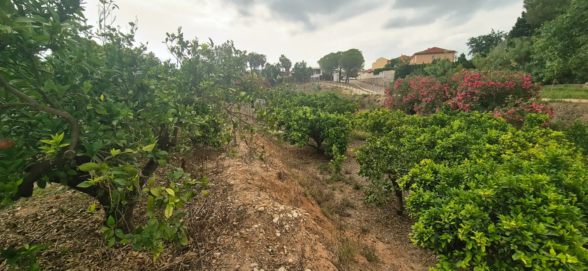 Finca rústica en venda en Gandia amb Jardí privat, Terrassa i Moblat