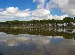Terreny residencial en venda a Centro - Barriada Mallorca, imagen 4