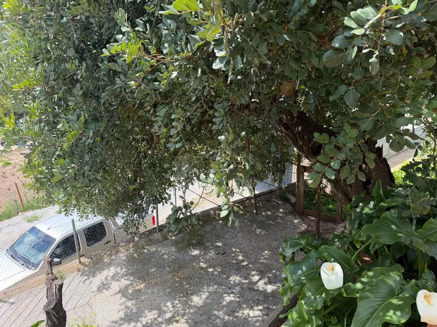 Casa rústica amb jardí en venda a Polígono poligono, imagen 10