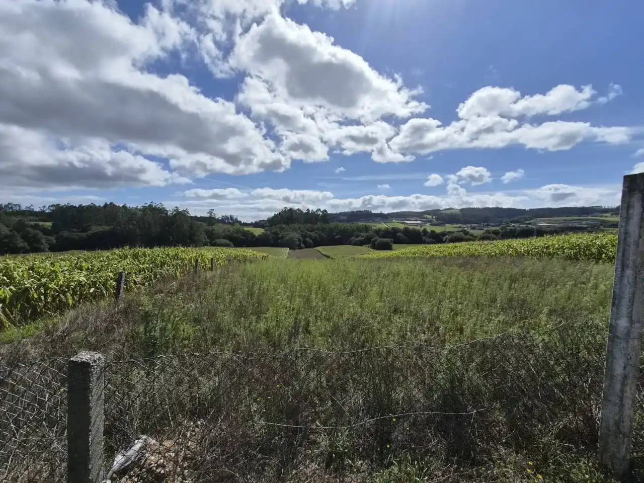 Country homes for sale in Rois  with Private garden, Furnished and Alarm