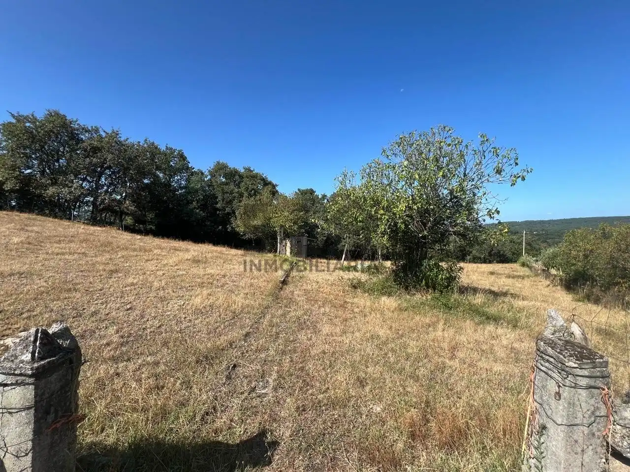 Terreni e lotti in vendita a O Pereiro de Aguiar, imagen 3