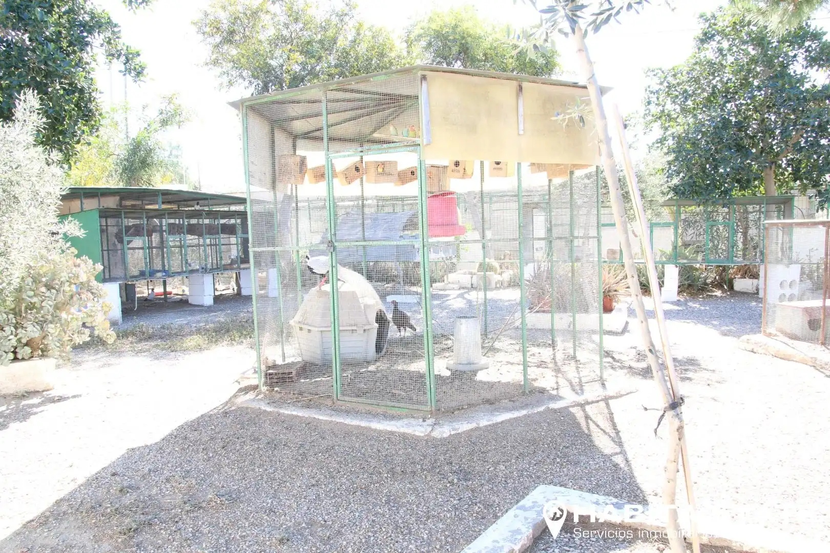 Garden of Residential for sale in Pechina