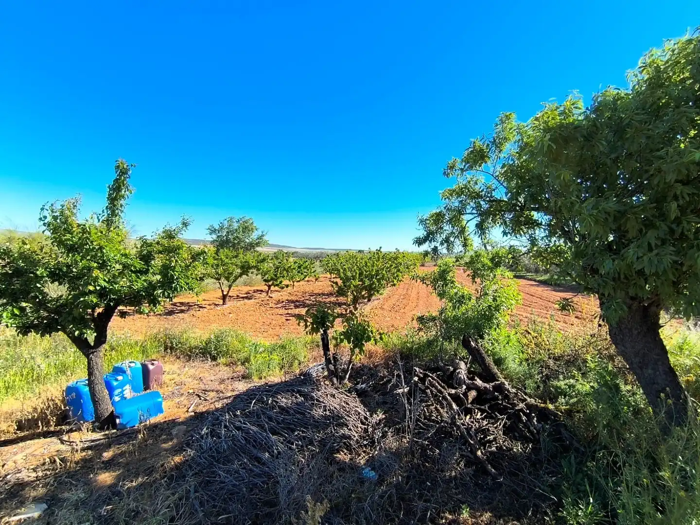 Maison rustique à vendre à Yecla, imagen 18
