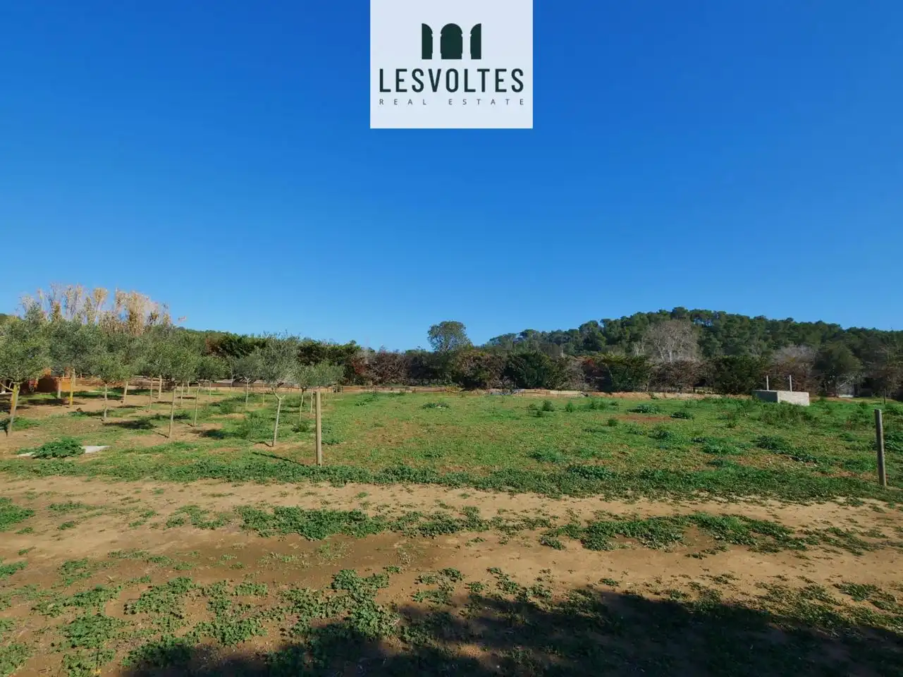 Lands and plots for sale in Camí Ral polígon 5 paecel.la, imagen 31
