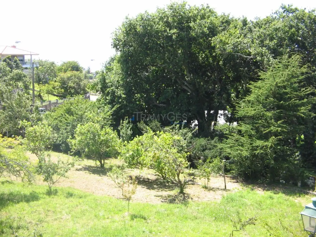 Casa o chalet en venta en Vigo  con Jardín privado