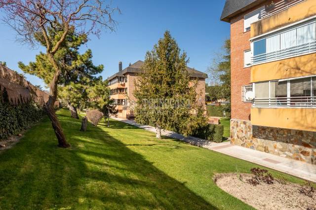 Piso en Alquiler en Zona Carretera del Plantío