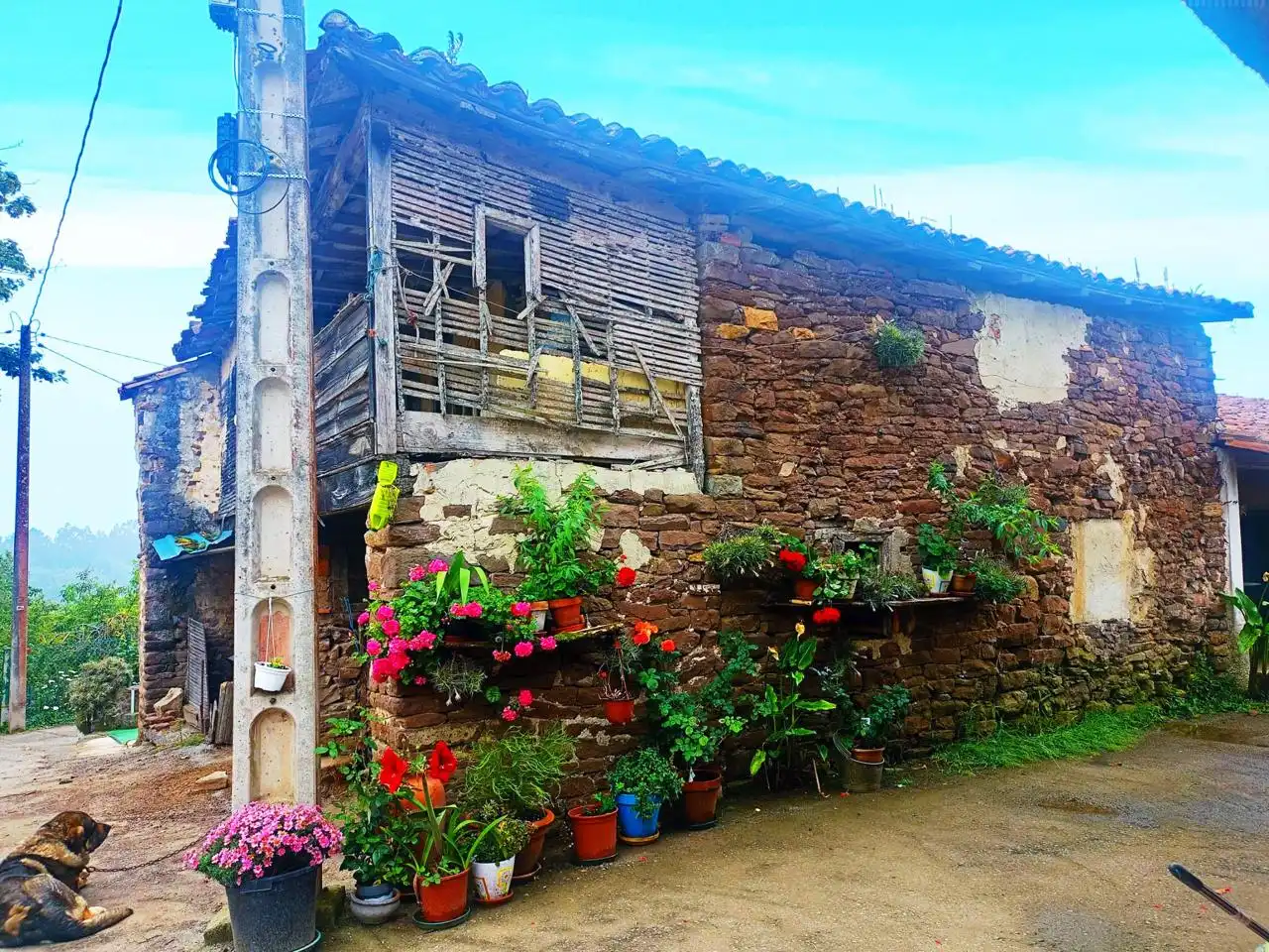 Haus zum Verkauf in TOROYES, imagen 2