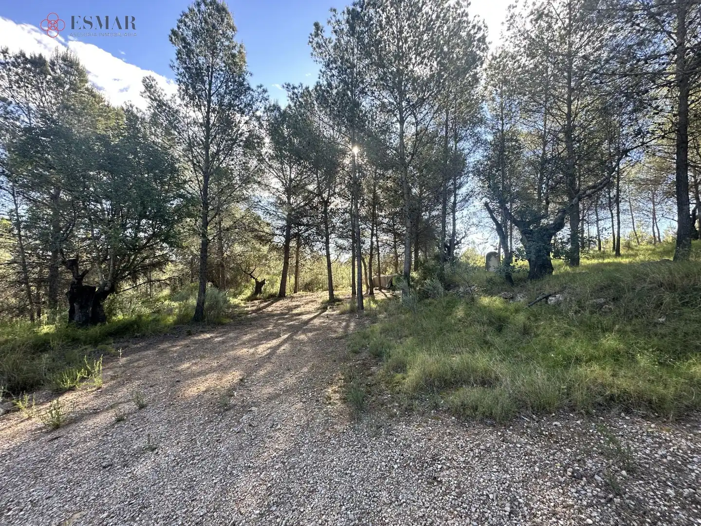 Terreny residencial en venda a Estivella