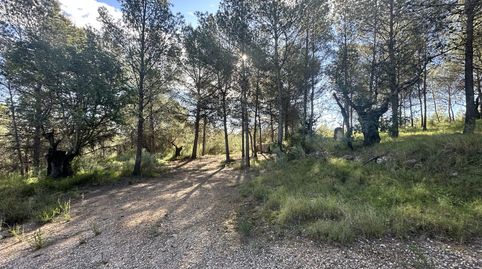 Terreno Rústico en venta en Montaña.