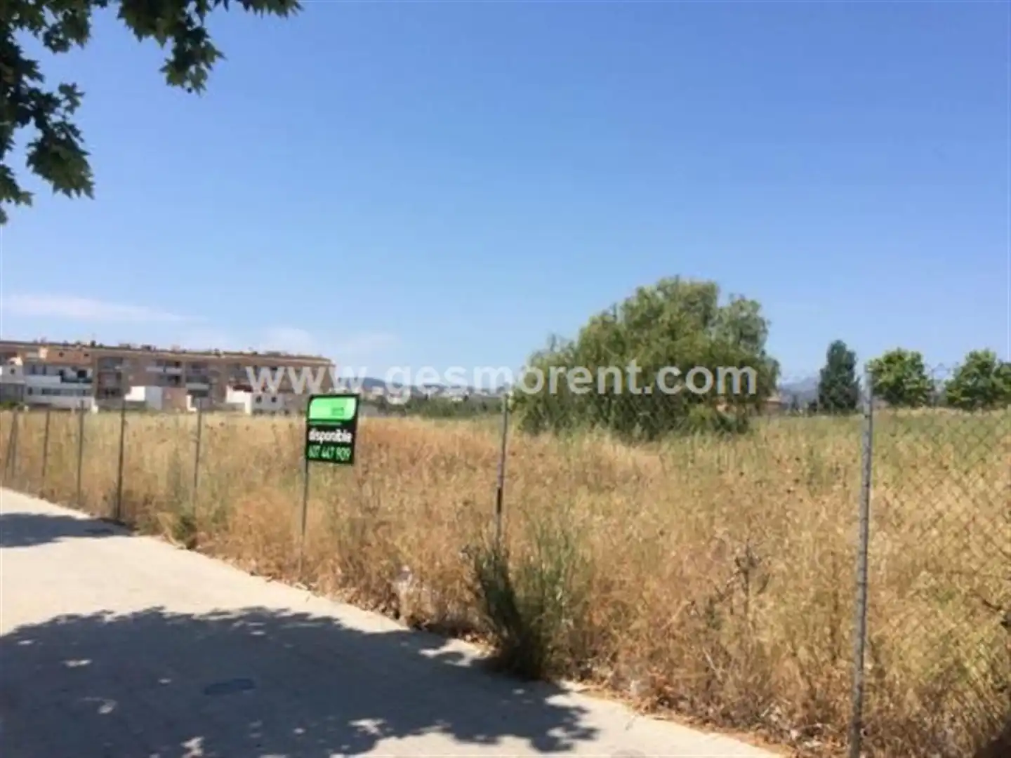 Terrenys i solars de lloguer a Llevant, imagen 3