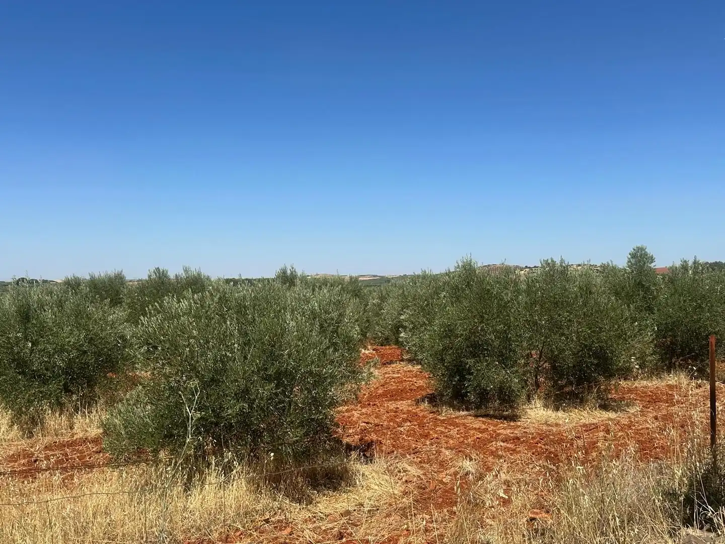 Rural land for sale in Carretera Valdepeñas-Ciudad Real, imagen 27