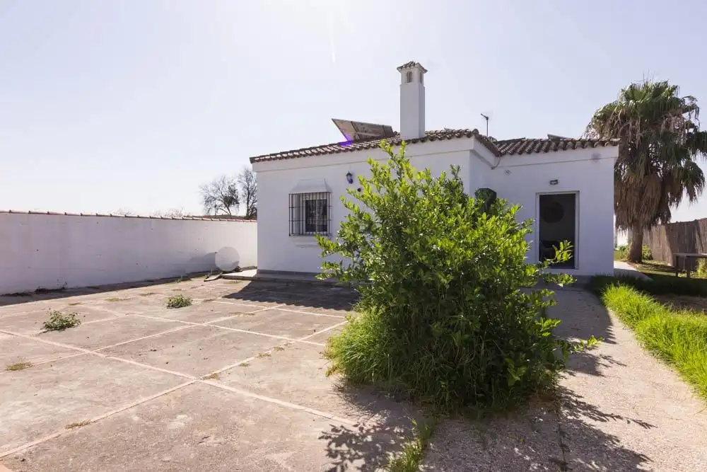 Vista exterior de Finca rústica en venta en El Puerto de Santa María con Piscina