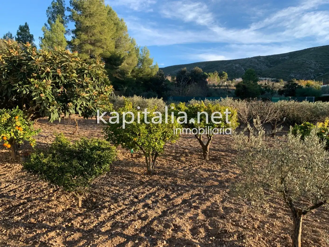 Detached house with pool for sale in El Llombo, imagen 26