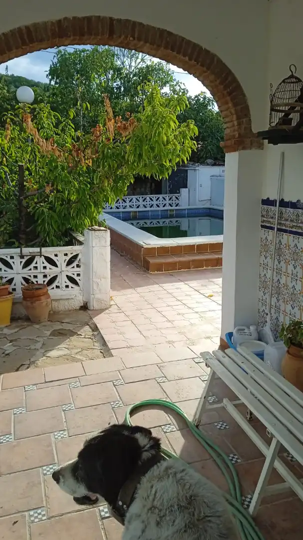 Piscina de Casa o chalet en venta en Jamilena con Aire acondicionado, Piscina y Amueblado