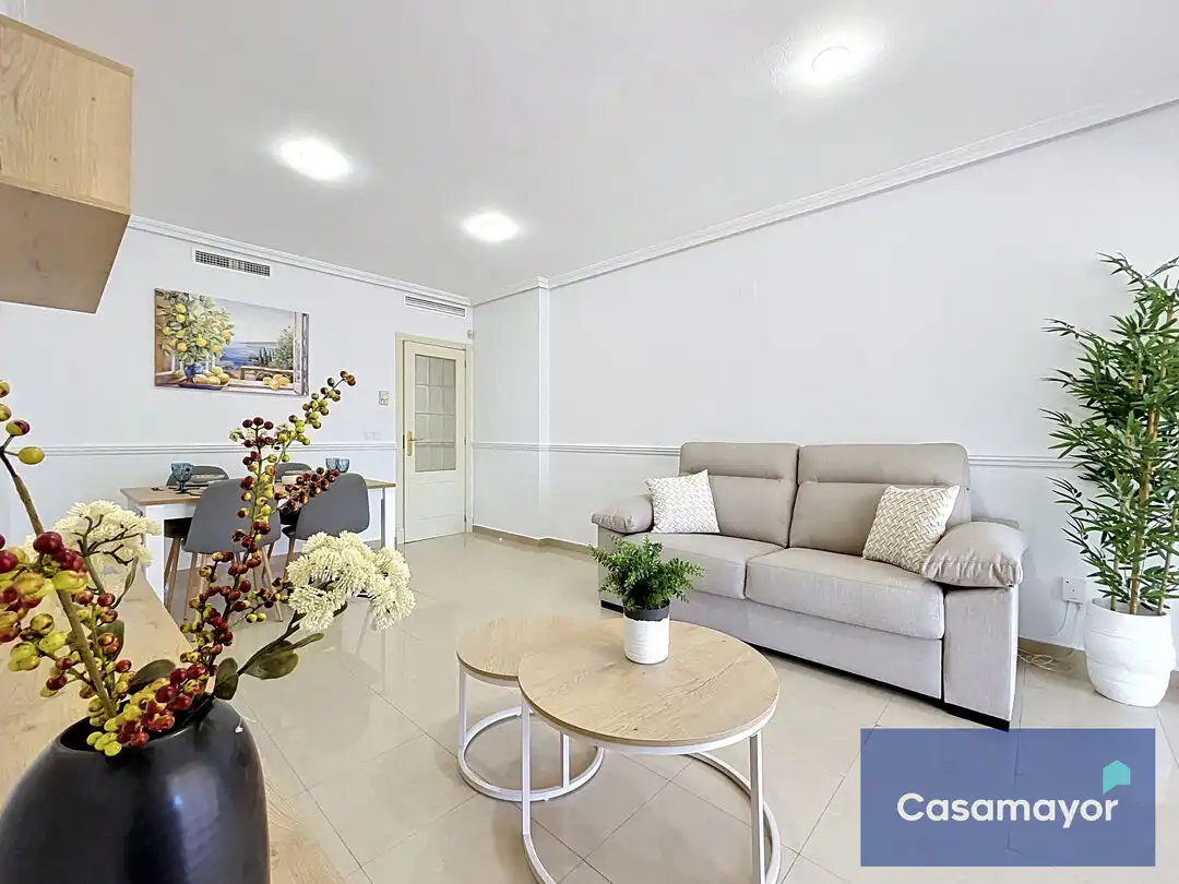Sala de estar de Piso en venta en Alicante / Alacant con Aire acondicionado, Calefacción y Jardín privado