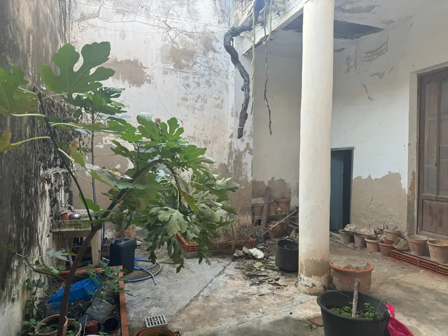 Jardí de Casa o xalet en venda en El Verger