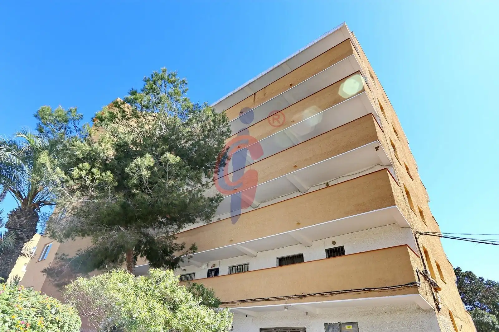 Exterior view of Flat for sale in Guardamar del Segura  with Furnished